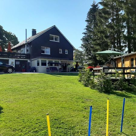 Haus Rehblick Fewo-Eg-1 Sankt Andreasberg Eksteriør bilde
